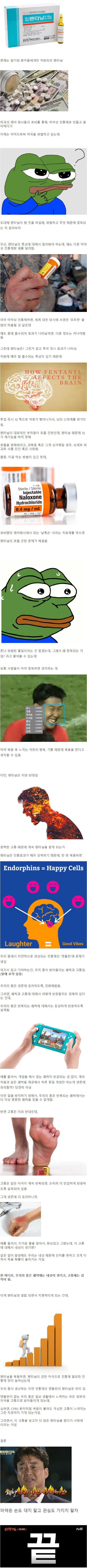 펜타닐의 위험성