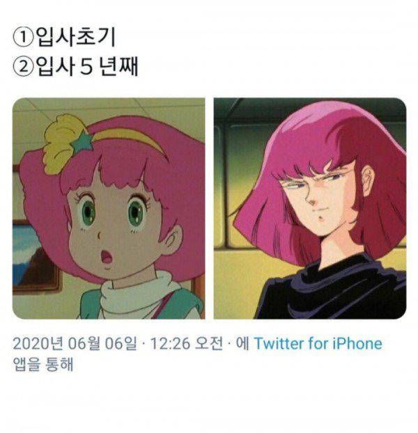 직장인들 입사 전후 차이점