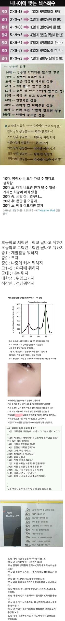 내 나이에 맞는 ㅅㅅ 횟수 ㄷㄷ