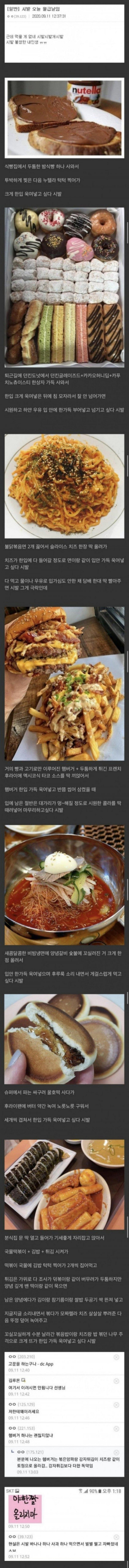 당뇨 갤러리의 광기