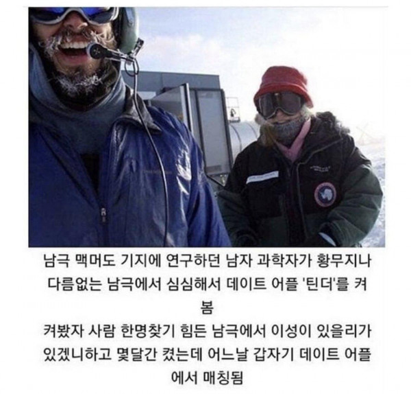 남극에서 데이트 어플을 켰더니,,,,,ㄷㄷㄷ