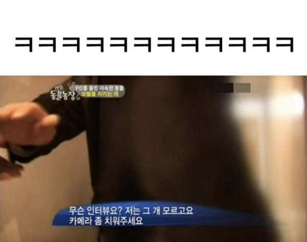 모텔 단골을 알아보는 강아지