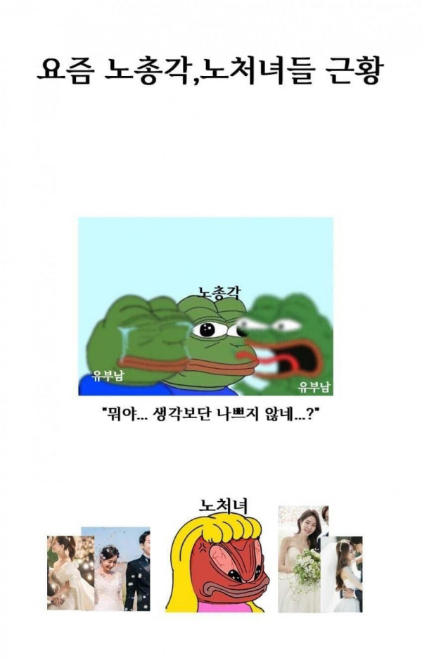 요즘 노총각,노처녀 상황