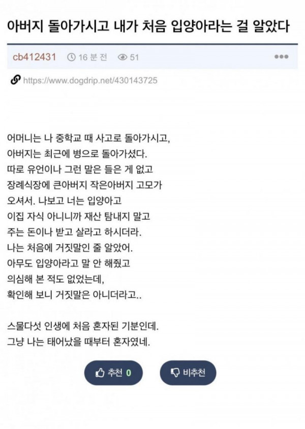 입양아의 현실