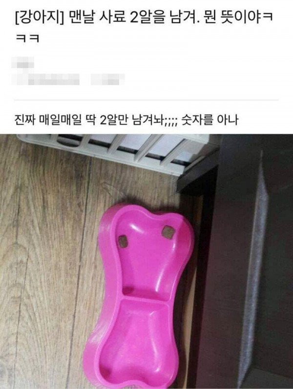 우리집 강아지가 맨날 사료 2알을 남겨 뭔 뜻이야?