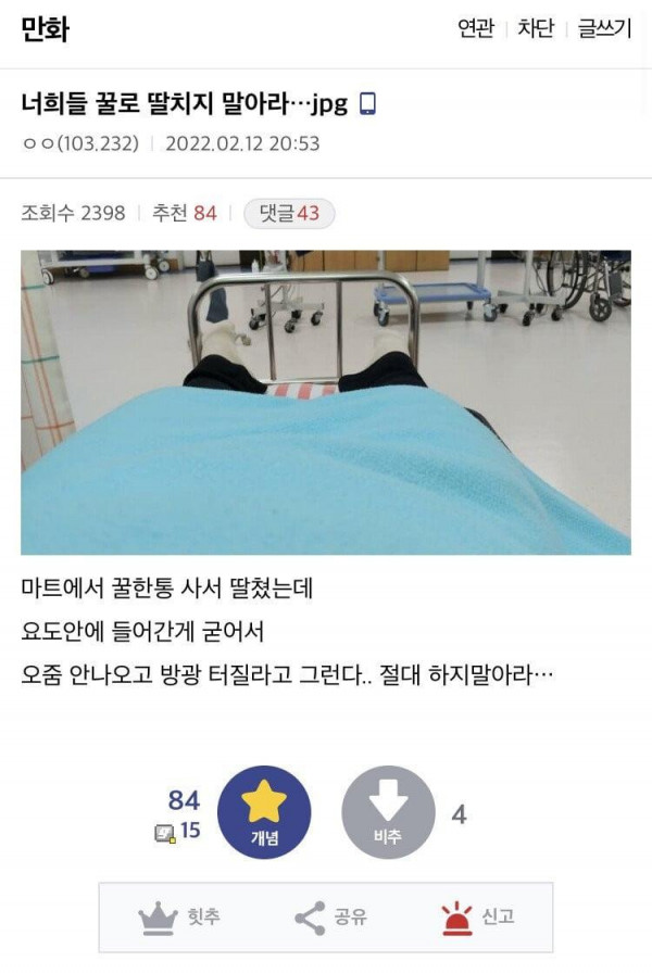 벌꿀로 자위한 디시인 결말