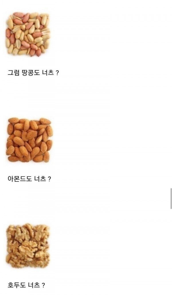 견과류가 영어로 너츠라며?