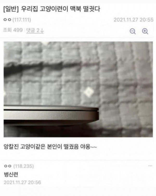 개인적으로 ㅈㄴ웃겼던 디시만담 2개