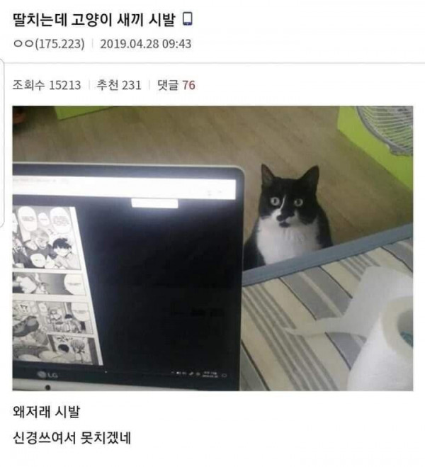 딸치는데 집단또가 쳐다봐서 빡친 디씨인.jpg