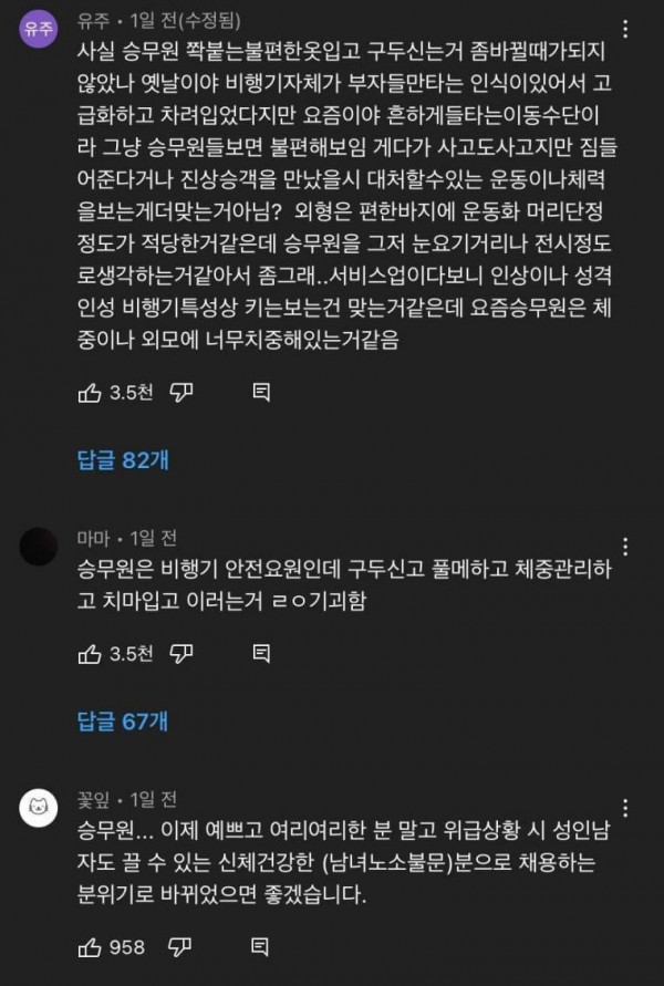 유튜브 승무원 외모 논란