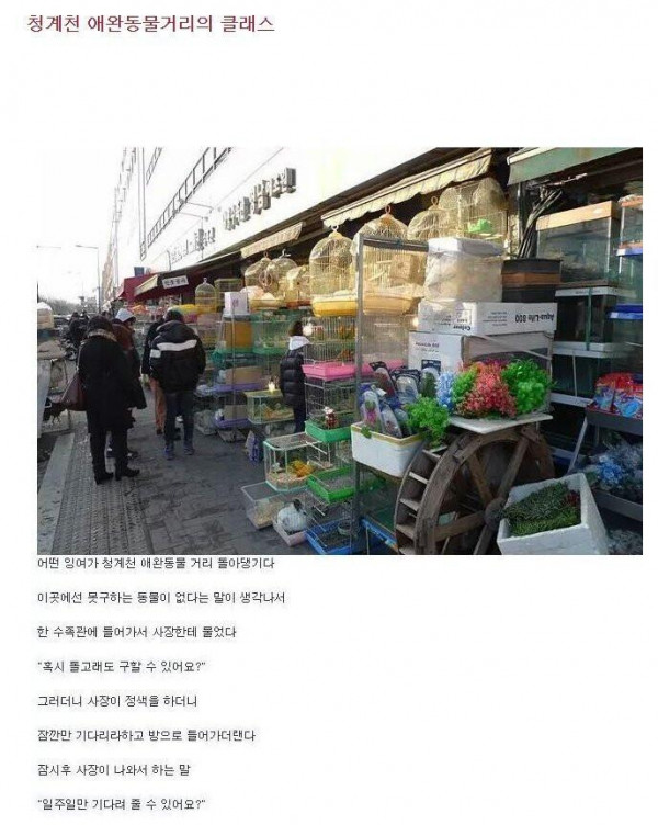 청계천에 있던 전설