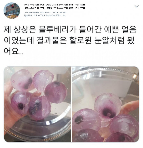 공포의 얼음